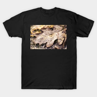 Brown Autumn Oak Leaf T-Shirt